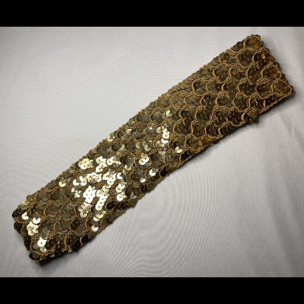 Gold Sequence Head Band